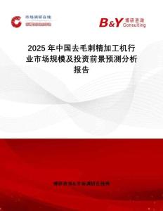 2025年中國去毛刺精加工機行業市場規模及投資前景預測分析報告