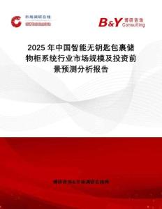 2025年中國智能無鑰匙包裹儲物柜系統(tǒng)行業(yè)市場規(guī)模及投資前景預(yù)測分析報告