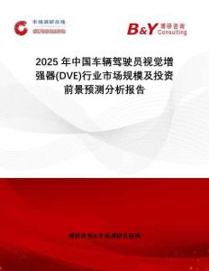 2025年中國(guó)車輛駕駛員視覺(jué)增強(qiáng)器(DVE)行業(yè)市場(chǎng)規(guī)模及投資前景預(yù)測(cè)分析報(bào)告