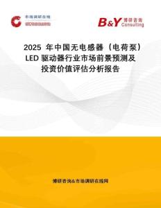 2025年中國無電感器（電荷泵） LED 驅動器行業市場前景預測及投資價值評估分析報告