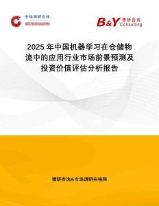 2025年中國(guó)機(jī)器學(xué)習(xí)在倉(cāng)儲(chǔ)物流中的應(yīng)用行業(yè)市場(chǎng)前景預(yù)測(cè)及投資價(jià)值評(píng)估分析報(bào)告