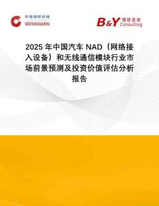 2025年中國汽車NAD（網(wǎng)絡(luò)接入設(shè)備）和無線通信模塊行業(yè)市場前景預(yù)測及投資價(jià)值評(píng)估分析報(bào)告