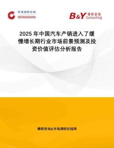 2025年中國汽車產(chǎn)銷進入了緩慢增長期行業(yè)市場前景預(yù)測及投資價值評估分析報告