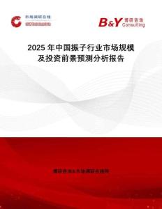 2025年中國振子行業(yè)市場規(guī)模及投資前景預(yù)測分析報告