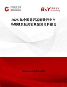 2025年中國(guó)異丙基硼酸行業(yè)市場(chǎng)規(guī)模及投資前景預(yù)測(cè)分析報(bào)告