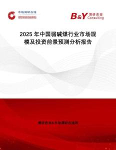 2025年中國弱堿煤行業市場規模及投資前景預測分析報告