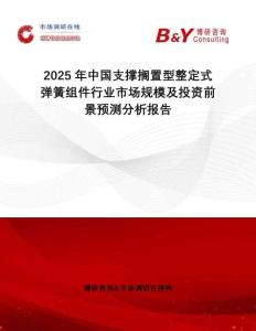 2025年中國支撐擱置型整定式彈簧組件行業市場規模及投資前景預測分析報告