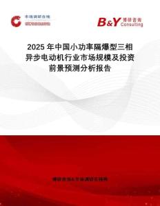 2025年中國小功率隔爆型三相異步電動機行業市場規模及投資前景預測分析報告