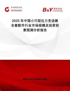 2025年中國小巧型壓力變送器全套散件行業(yè)市場規(guī)模及投資前景預(yù)測(cè)分析報(bào)告