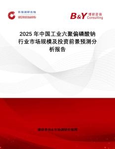 2025年中國工業(yè)六聚偏磷酸鈉行業(yè)市場規(guī)模及投資前景預(yù)測分析報告