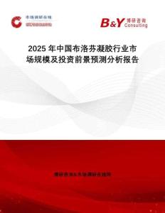 2025年中國布洛芬凝膠行業(yè)市場規(guī)模及投資前景預測分析報告
