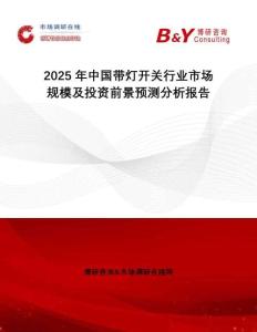 2025年中國帶燈開關(guān)行業(yè)市場規(guī)模及投資前景預測分析報告