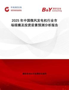2025年中國微風發(fā)電機行業(yè)市場規(guī)模及投資前景預測分析報告