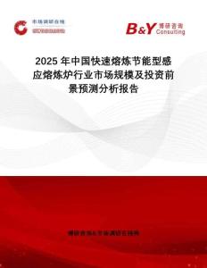 2025年中國(guó)快速熔煉節(jié)能型感應(yīng)熔煉爐行業(yè)市場(chǎng)規(guī)模及投資前景預(yù)測(cè)分析報(bào)告