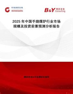 2025年中國手燒煤爐行業市場規模及投資前景預測分析報告