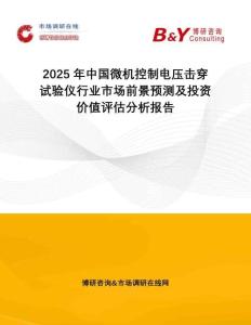 2025年中國微機控制電壓擊穿試驗儀行業(yè)市場前景預(yù)測及投資價值評估分析報告