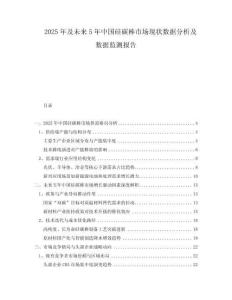 2025年及未來5年中國硅碳棒市場現(xiàn)狀數(shù)據(jù)分析及數(shù)據(jù)監(jiān)測報告