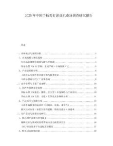 2025年中國手柄對打游戲機市場調(diào)查研究報告