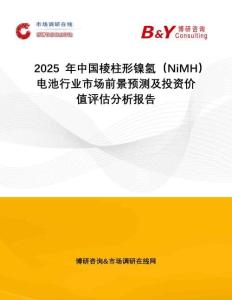 2025年中國棱柱形鎳氫（NiMH）電池行業(yè)市場前景預(yù)測及投資價值評估分析報告