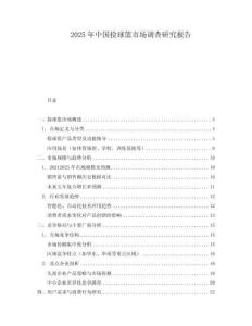 2025年中國撿球籃市場調查研究報告