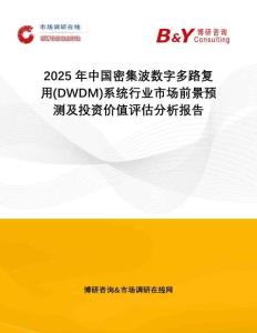 2025年中國密集波數字多路復用(DWDM)系統行業市場前景預測及投資價值評估分析報告