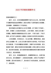 2025年折斷的翅膀作文