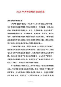 2025年拆掉思維的墻讀后感