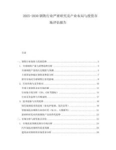 2025-2030鋼鐵行業嚴密研究及產業布局與投資市場評估報告