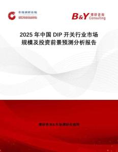 2025年中國DIP開關(guān)行業(yè)市場規(guī)模及投資前景預(yù)測分析報(bào)告