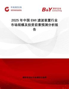 2025年中國EMI濾波裝置行業(yè)市場規(guī)模及投資前景預(yù)測分析報(bào)告