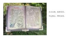 景記松陽·鄭弄口村