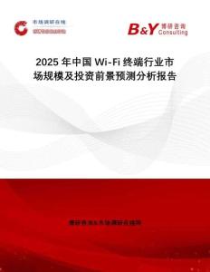 2025年中國Wi-Fi終端行業(yè)市場規(guī)模及投資前景預(yù)測分析報(bào)告