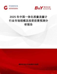2025年中國一體化質(zhì)量流量計行業(yè)市場規(guī)模及投資前景預(yù)測分析報告