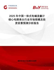 2025年中國(guó)一體式電磁流量計(jì)核心電路表頭行業(yè)市場(chǎng)規(guī)模及投資前景預(yù)測(cè)分析報(bào)告