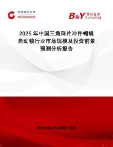 2025年中國三角珠片沖件蝴蝶自動鎖行業(yè)市場規(guī)模及投資前景預(yù)測分析報告