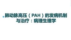 肺動(dòng)脈高壓（PAH）的發(fā)病機(jī)制與治療：病理生理學(xué)