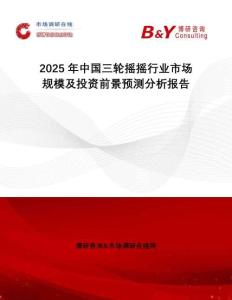 2025年中國三輪搖搖行業市場規模及投資前景預測分析報告