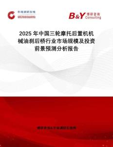 2025年中國三輪摩托后置機機械油剎后橋行業(yè)市場規(guī)模及投資前景預(yù)測分析報告