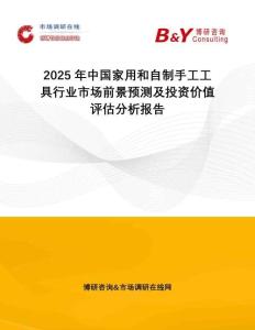 2025年中國家用和自制手工工具行業(yè)市場前景預(yù)測及投資價(jià)值評估分析報(bào)告