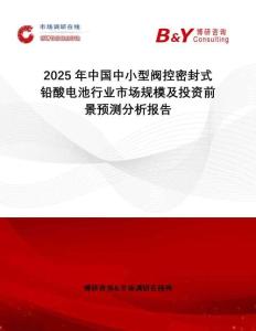 2025年中國中小型閥控密封式鉛酸電池行業(yè)市場規(guī)模及投資前景預(yù)測分析報告