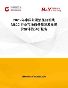 2025年中國帶浸漬徑向引線MLCC行業市場前景預測及投資價值評估分析報告