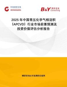 2025年中國(guó)常壓化學(xué)氣相淀積（APCVD）行業(yè)市場(chǎng)前景預(yù)測(cè)及投資價(jià)值評(píng)估分析報(bào)告