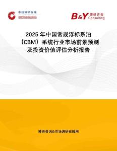2025年中國(guó)常規(guī)浮標(biāo)系泊（CBM）系統(tǒng)行業(yè)市場(chǎng)前景預(yù)測(cè)及投資價(jià)值評(píng)估分析報(bào)告