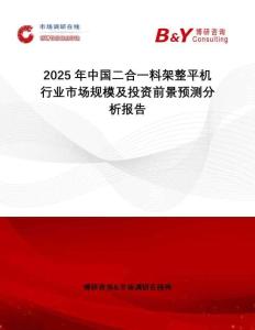 2025年中國二合一料架整平機行業市場規模及投資前景預測分析報告