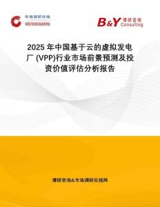 2025年中國基于云的虛擬發(fā)電廠 (VPP)行業(yè)市場前景預(yù)測及投資價值評估分析報告