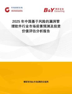 2025年中國基于風險的漏洞管理軟件行業市場前景預測及投資價值評估分析報告