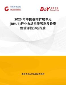 2025年中國基站擴展單元 (RHUB)行業(yè)市場前景預(yù)測及投資價值評估分析報告