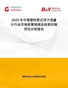 2025年中國塑料管式浮子流量計行業(yè)市場前景預測及投資價值評估分析報告