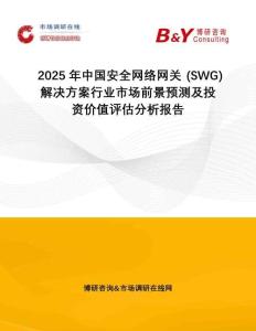 2025年中國安全網(wǎng)絡(luò)網(wǎng)關(guān) (SWG) 解決方案行業(yè)市場前景預(yù)測及投資價值評估分析報告