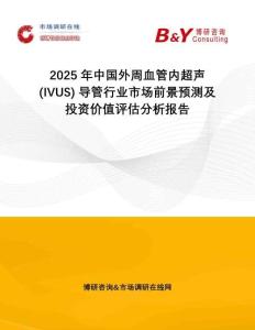 2025年中國外周血管內(nèi)超聲 (IVUS) 導管行業(yè)市場前景預測及投資價值評估分析報告